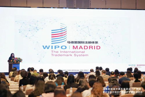 护航广州品牌“出海” 马德里和海牙体系宣讲会广州站聚焦纺织贸易法律服务